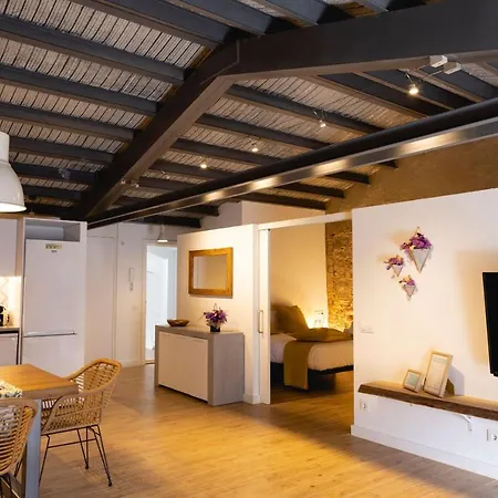 公寓 Bravissimo Placa Del Vi, Design Penthouse