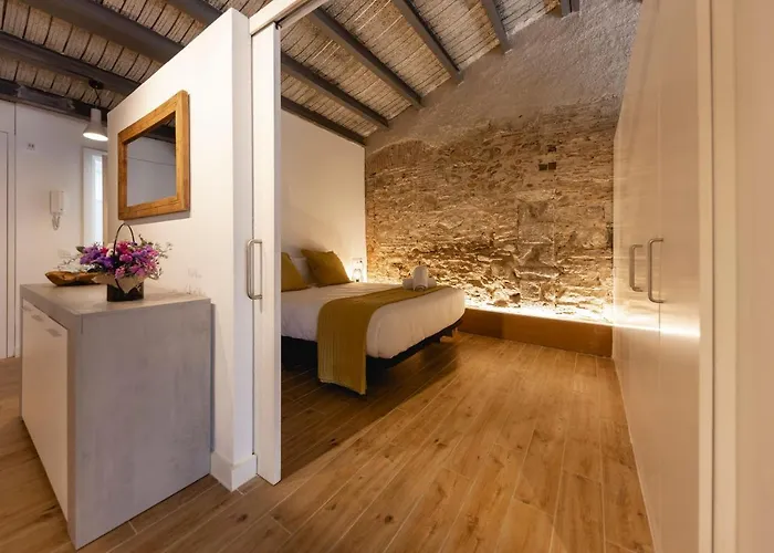 Bravissimo Plaça Del Vi, Design Penthouse * Girona