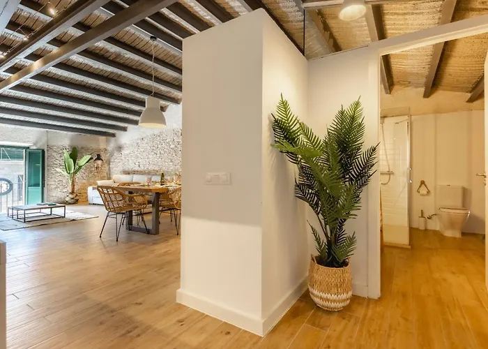 Appartement Bravissimo Placa Del Vi, Design Penthouse *